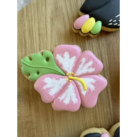 Hibiszkusz körvonal sütikiszúró - Mézi Műhely Workshop 2024