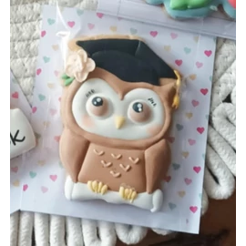 Bagoly talárban virágokkal körvonal sütikiszúró