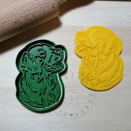 Golden retriever fej sütikiszúró
