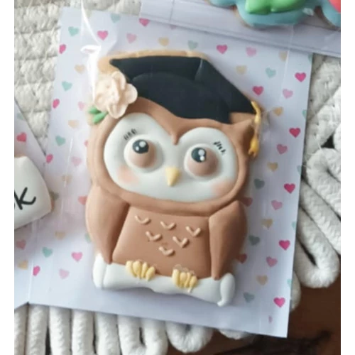 Bagoly talárban virágokkal körvonal sütikiszúró