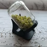 Kép 6/6 - ECOSPIRE Csíráztató Állvány – 1 Üveges